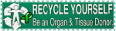 organ004