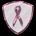 breastcancerbullet20