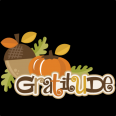 2016-thanksgiving-008